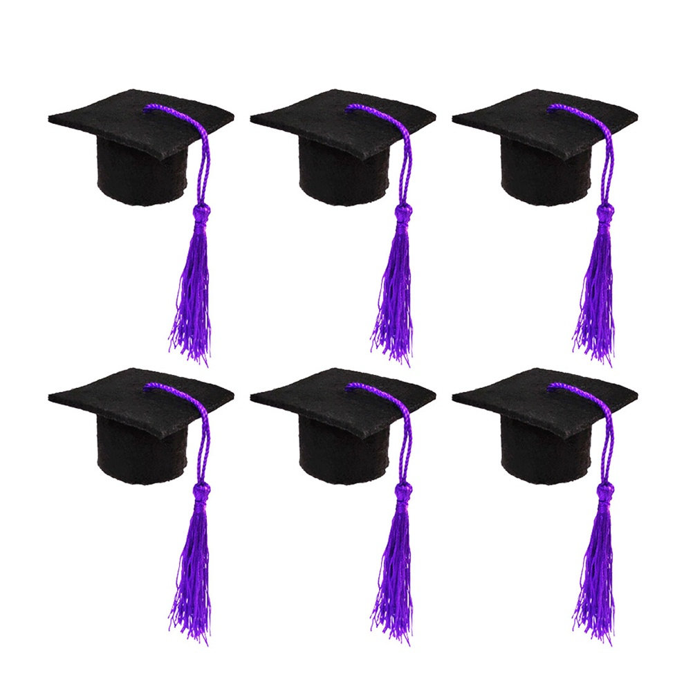 6 pièces, mini chapeau de doct - Wine Beer Hat avis et prix